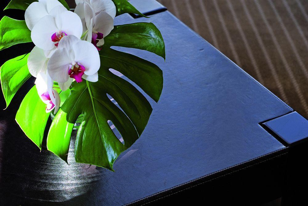 Excelsior Hotel Saint-Raphael  Luaran gambar